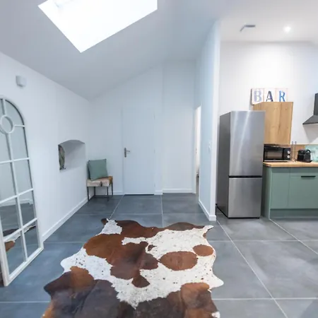 C&c Au Loft T3 Spacieux Moderne Apartment Saint-Etienne (Loire)